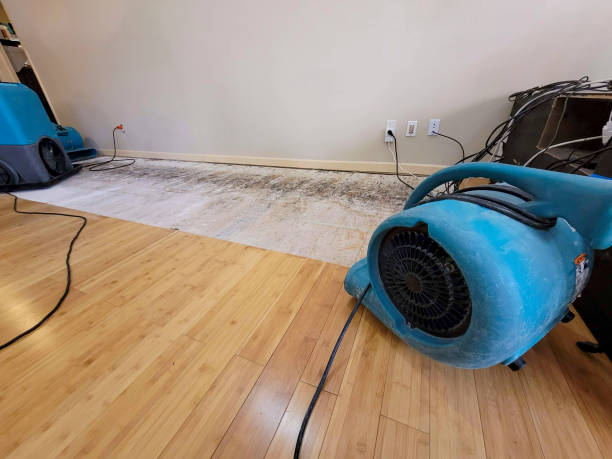 Professional Burst Pipe Water Damage technician working in Potter, WI